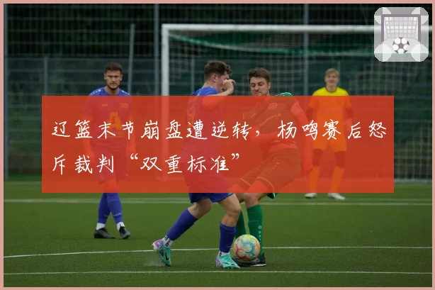 辽篮末节崩盘遭逆转，杨鸣赛后怒斥裁判“双重标准”