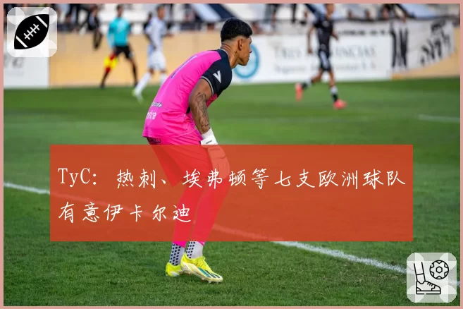 TyC：热刺、埃弗顿等七支欧洲球队有意伊卡尔迪